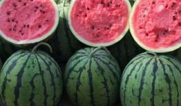 娱乐吃瓜姐买鸭,揭秘“吃瓜姐买鸭”背后的故事